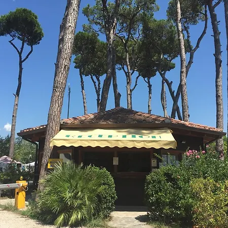 Paradiso 3*