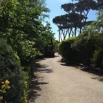 Paradiso 3*