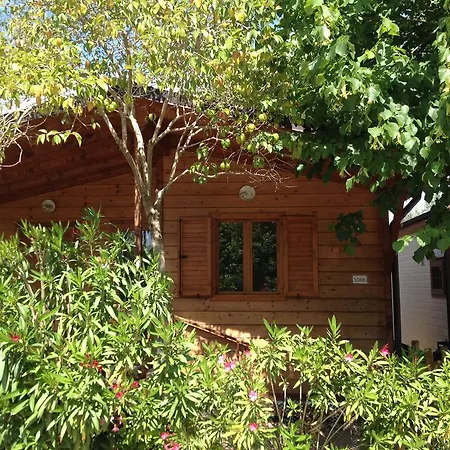 Kamp alanı Paradiso
