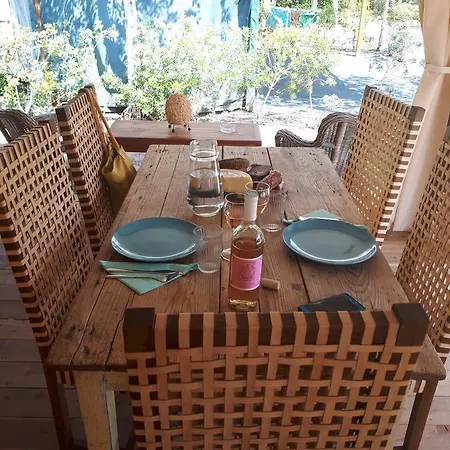 Campsite Camping Paradiso Viareggio