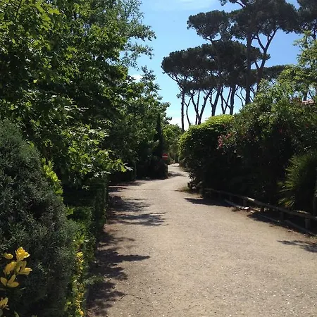 Paradiso 3*