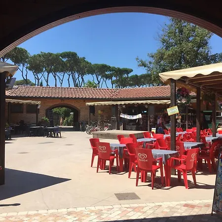 Paradiso Kamp alanı